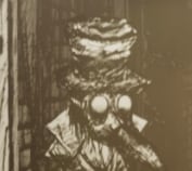 My Friend is a Raven